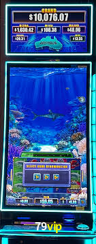 Premium Interface 79vip